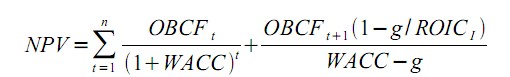 Abbildung 1: Formel Net Present Value