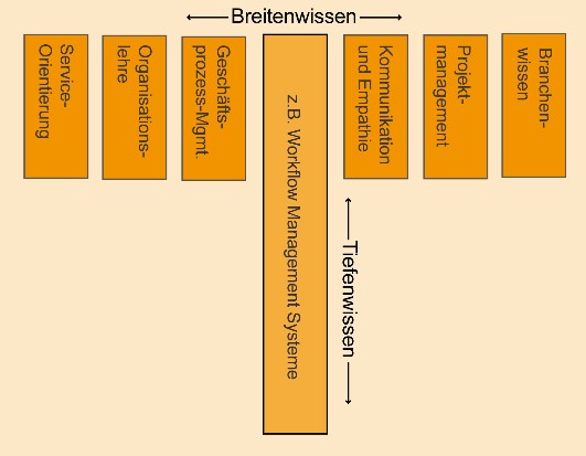 Beispiel eines T-Shaped WfM-Experten