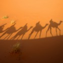 schatten einer karavane die durch die wüste streift