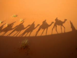 schatten einer karavane die durch die wüste streift