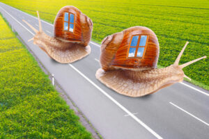 langsam: 2 Schnecken auf Straße