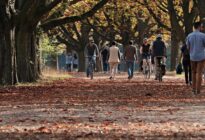 Menschen gehen an einem Herbsttag im Park spazieren und fahren Fahhrad