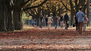 Menschen gehen an einem Herbsttag im Park spazieren und fahren Fahhrad