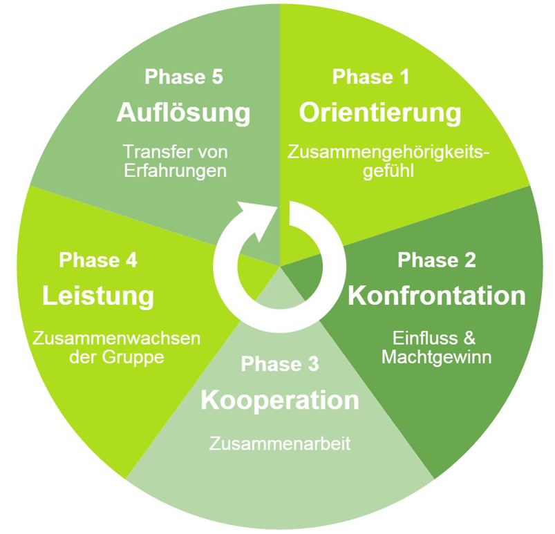 Schematische Darstellung des Phasenmodells nach Tuckman. Bildquelle: Onpulson.de