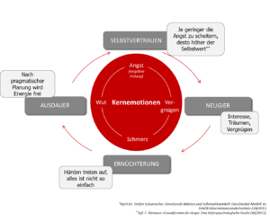 Kernemotionen im Change-Prozess