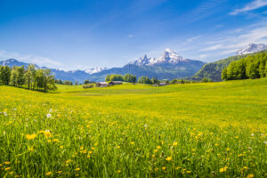 Idyllische Landschaft in den Alpen