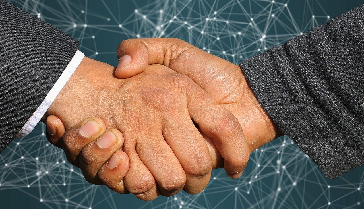 GmbH & Co. KG Erklärung, Haftung, Vor und Nachteile Onpulson