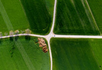 Verschiedene Wege: Entscheidung treffen