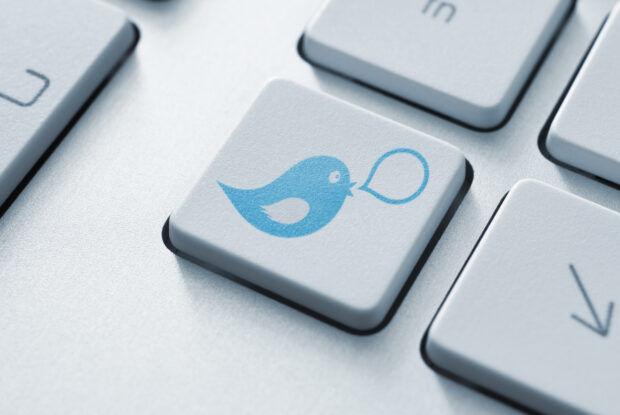 Blauer Twitter Vogel auf Computertastatur